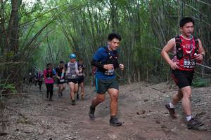 BIB: 317, 3011
                            <button type="button" onclick="openModal(4110621)" class="btn btn-primary btn-sm float-right btn-popup" data-toggle="modal" data-target=".modal-high-quality">
                        <i class="fas fa-shopping-cart"></i> Add to Cart
                    </button>
                                            <button type="button" onclick="isThisMe(4110621, true)" class="btn btn-success btn-sm float-right btn-popup btn-isme hidden" data-toggle="tooltip" data-placement="bottom" title="นี่คือรูปของคุณใช่ไหม คลิกที่นี่เพื่อเอาเข้าอัลบั้ม">
                        <i class="fas fa-plus"></i> Add to album
                    </button>
                    <button type="button" onclick="isThisMe(4110621, false)" class="btn btn-warning btn-sm float-right btn-popup btn-isnotme hidden">
                        <i class="fas fa-ban"></i> Remove from album
                    </button>